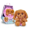 Otras marcas Baby Paws Peluche Cocker> Peluches