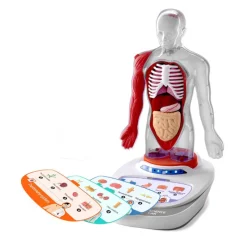 Otras marcas Canal Science Mi Cuerpo Voz Pedia 3D> Imitación