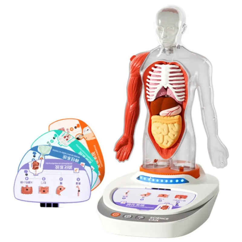 Otras marcas Canal Science Mi Cuerpo Voz Pedia 3D> Imitación