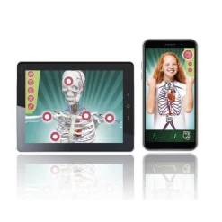 Ciencia y juego Superanatomía><noscript><img width=
