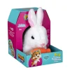 Otras marcas Conejo Con Zanahoria> Peluches
