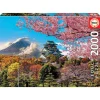Otras marcas Educa Puzzle 2000 Piezas Castillo de Osaka Japón - 19276> Puzzles