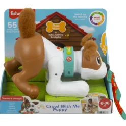 Fisher price Fisher-Price Perrito Gatea y Juega Conmigo> Primera Infancia