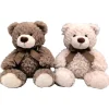 Otras marcas Peluche Oso con Lazo 23 cm Varios Modelos> Peluches