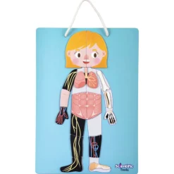 Scientific tools Aprendo el Cuerpo Humano Magnético><noscript><img width=